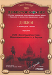 Дефектоскопия 2009